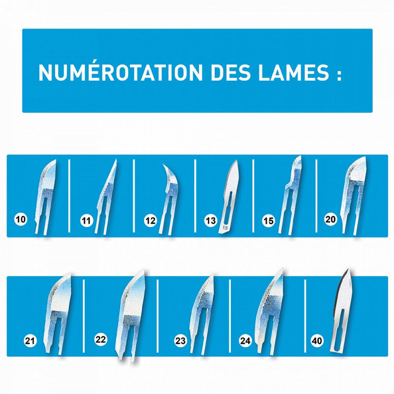 Boîte de 10 bistouris stériles - Différentes tailles