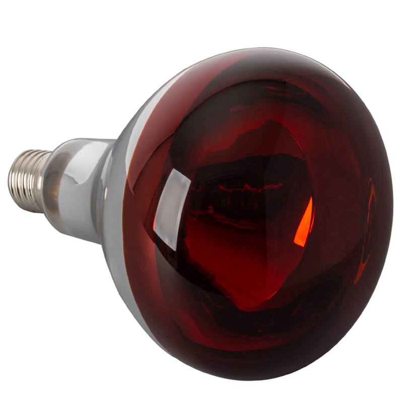 Ampoule infrarouge 250W IR