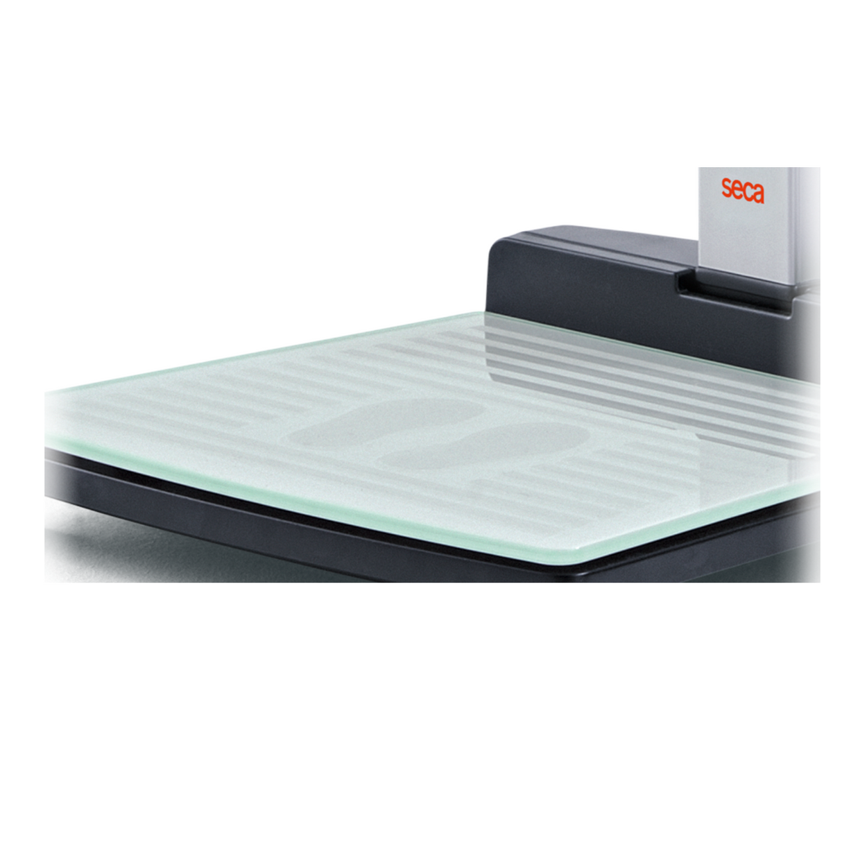 Station de mesure à ultrasons SECA 287* (III)