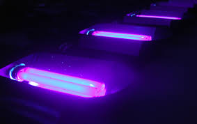 Lampe de WOOD portative - LID